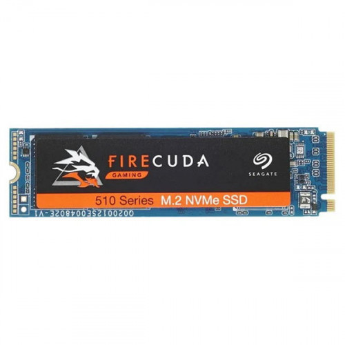 Твердотельный накопитель Seagate ZP1000GM30011