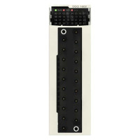 Schneider Electric Modicon bmxddo1602