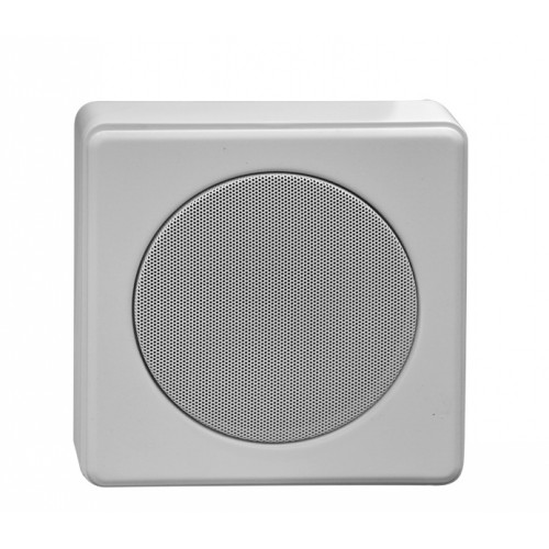 Громкоговоритель настенный Penton SENTRY6/STC