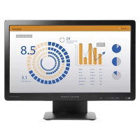 HP ProDisplay P202