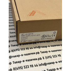 IFM G1501S Safety switch gear
