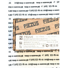 Piezus APZ 3420 G-W-2500-D-11-Q-721-F-00