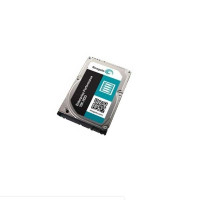Seagate ST300MP0006