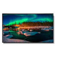 LED NEC MultiSync C981Q