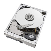 Seagate 10 TB ST10000NM0086