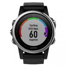 Часы Garmin Fenix 5S Sapphire серебристые с черным ремешком