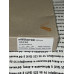 IFM Electronic II5256