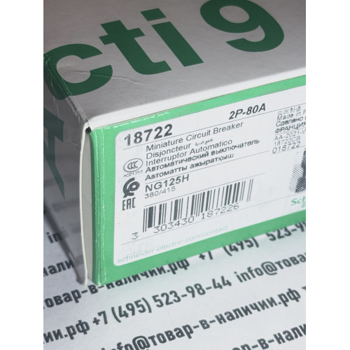 Schneider Electric 18722 NG125H 80А